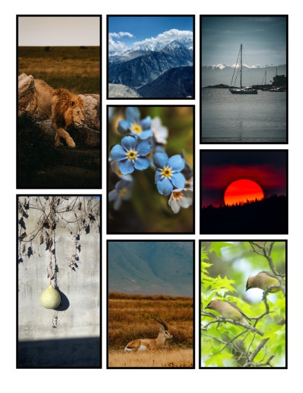 ARTEGO MAGAZINE - NATURE & TRAVELS JULY ISSUE 927, page 3