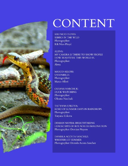 Bold & Beyond Nature (Issue 552 September 2025), page 2
