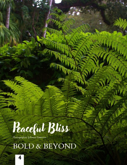 Bold & Beyond Nature (Issue 603 November 2025), page 4