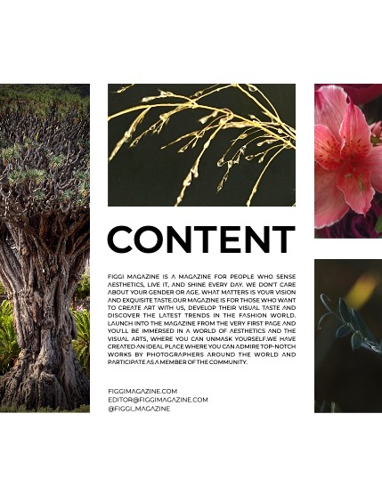 FIGGI MAGAZINE - NATURE & TRAVEL MARCH (Vol 1444), page 3