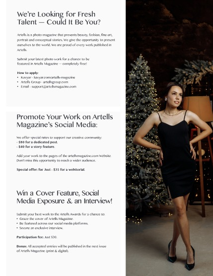 ARTELLS MAGAZINE - CHRISTMAS JANUARY (Vol 3784), page 3