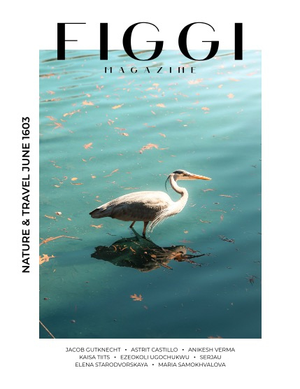 FIGGI MAGAZINE - NATURE & TRAVEL JUNE (Vol 1603), page 1