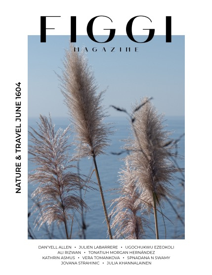 FIGGI MAGAZINE - NATURE & TRAVEL JUNE (Vol 1604), page 1