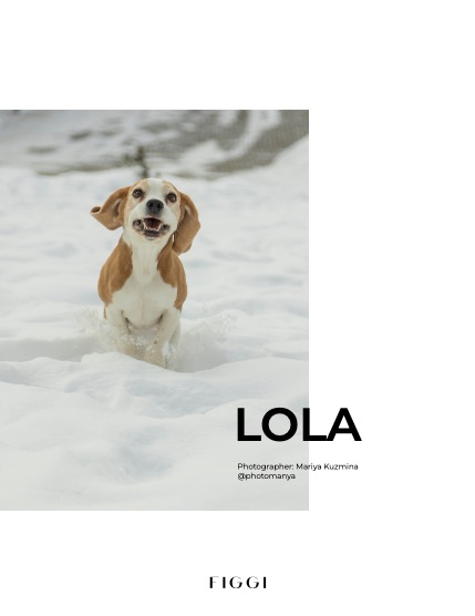 FIGGI MAGAZINE - LOVELY PETS MARCH (Vol 1445), page 4