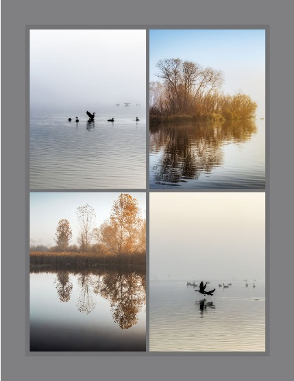 Bold & Beyond Nature (Issue 619 November 2025), page 3