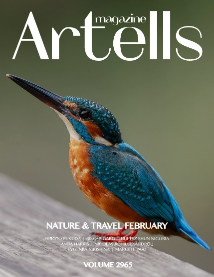 ARTELLS MAGAZINE - NATURE & TRAVELS FEBRUARY (Vol 2965), page 1