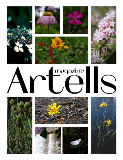 ARTELLS MAGAZINE - NATURE & TRAVELS JULY (Vol 3370), page 2