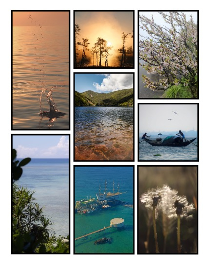 ARTEGO MAGAZINE - NATURE & TRAVELS JULY ISSUE 929, page 3