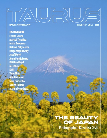 Nature #127, page 1