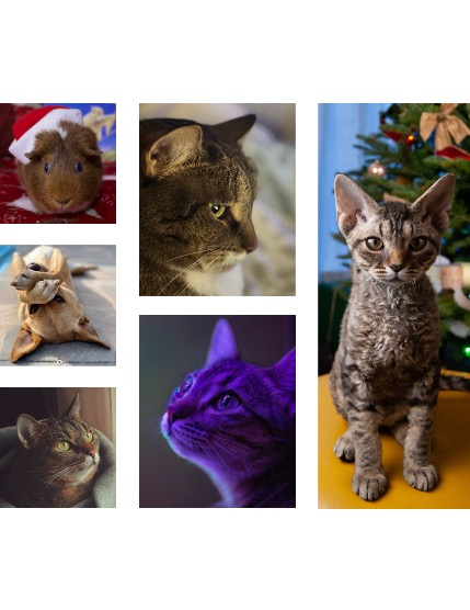 FIGGI MAGAZINE - LOVELY PETS JANUARY (Vol 1958), page 2