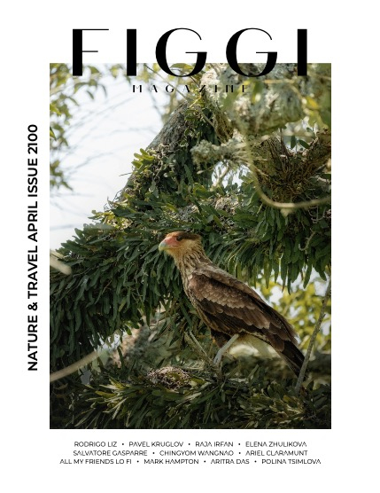 FIGGI MAGAZINE - NATURE & TRAVEL APRIL (Vol 2100), page 1