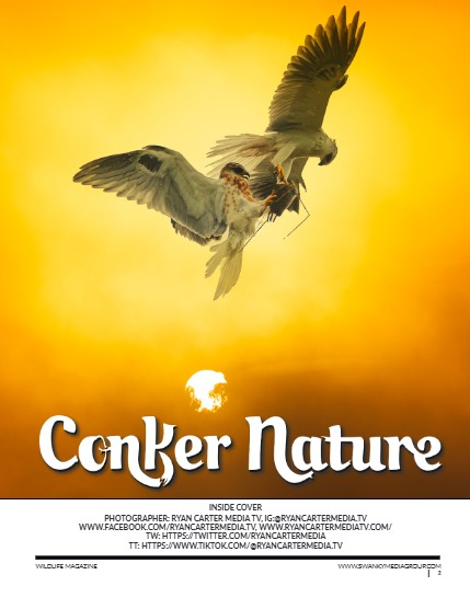 Conker Nature The Forest Issue April/May 2025, page 2