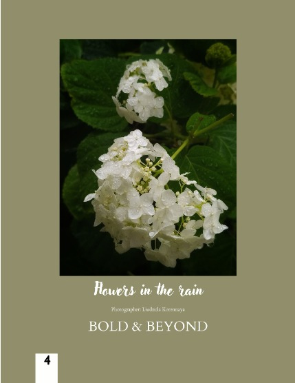 Bold & Beyond Nature (Issue 442 August 2025), page 4