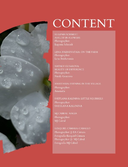 Bold & Beyond Nature (Issue 540 September 2025), page 2