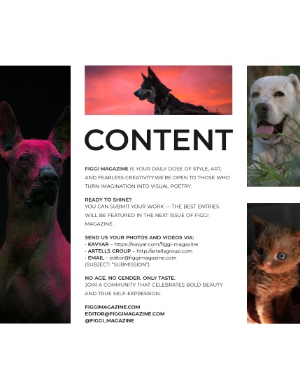 FIGGI MAGAZINE - LOVELY PETS OCTOBER (Vol 1813), page 3