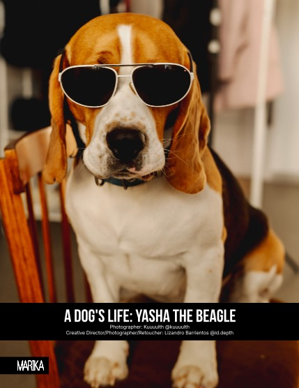 MARIKA MAGAZINE NATURE & TRAVELS (ISSUE 6243 - APRIL), page 4