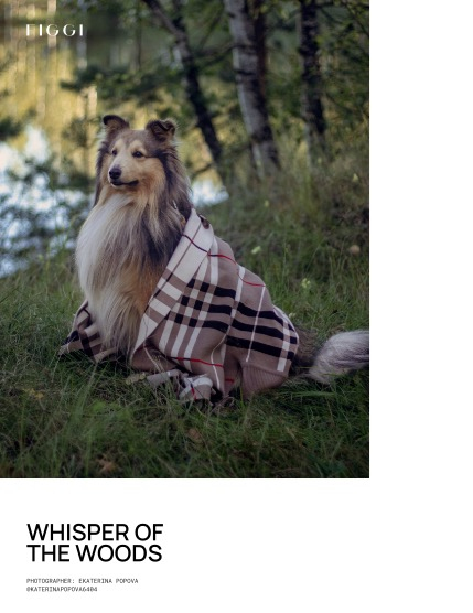FIGGI MAGAZINE - LOVELY PETS OCTOBER (Vol 2309), page 4