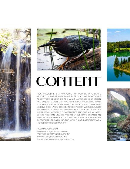 FIGGI MAGAZINE - NATURE & TRAVEL SEPTEMBER (Vol 597), page 3