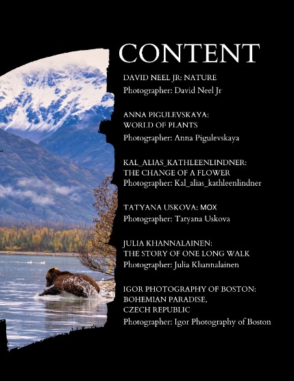 Bold & Beyond Nature (Issue 411 July 2025), page 2
