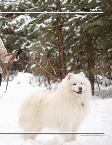 Perfect Pets Magazine - February 2025: The Pet Portrait Issue, page 5