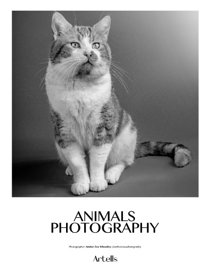 ARTELLS MAGAZINE - NATURE & TRAVELS APRIL (Vol 3986), page 4