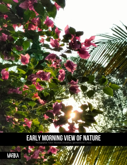 MARIKA MAGAZINE NATURE & TRAVELS (ISSUE 5530 - FEBRUARY), page 4