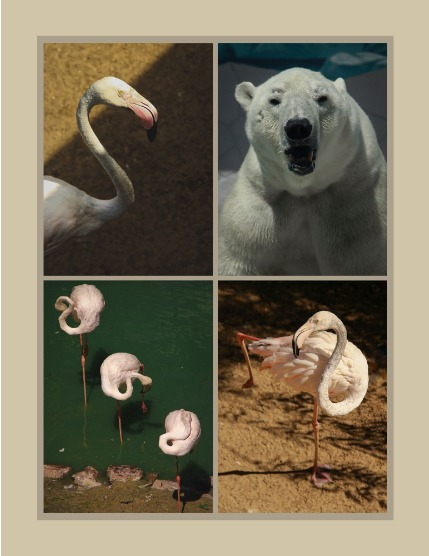 Bold & Beyond Nature (Issue 476 August 2025), page 3