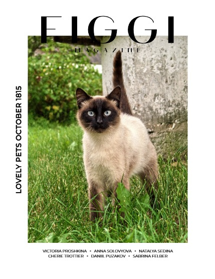 FIGGI MAGAZINE - LOVELY PETS OCTOBER (Vol 1815), page 1