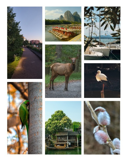 ARTEGO MAGAZINE - NATURE & TRAVELS MARCH ISSUE 746, page 3