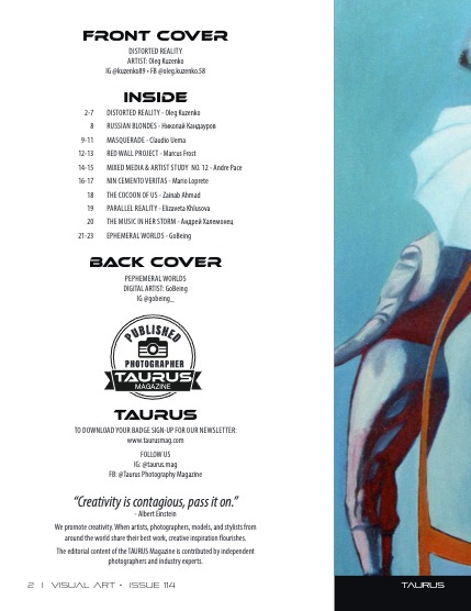 Visual Art #114, page 2