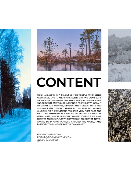 FIGGI MAGAZINE - NATURE & TRAVEL JANUARY (Vol 1338), page 3