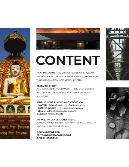FIGGI MAGAZINE - NATURE & TRAVEL JULY (Vol 1682), page 3