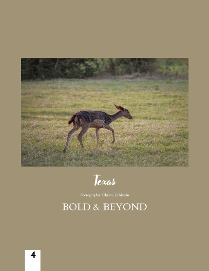 Bold & Beyond Nature (Issue 558 September 2025), page 4