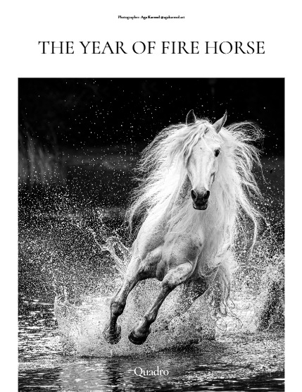 QUADRO MAGAZINE - NATURE & TRAVELS FEBRUARY (Vol 1447), page 4