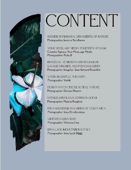 Bold & Beyond Nature (Issue 200 April 2025), page 2