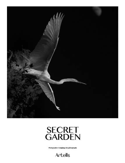 ARTELLS MAGAZINE - NATURE & TRAVEL (Vol 3275), page 4