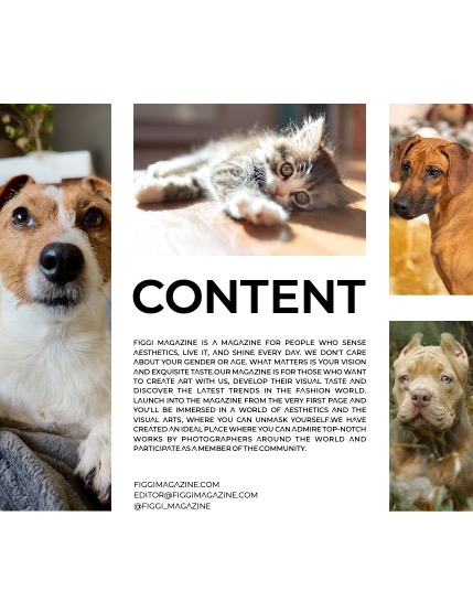 FIGGI MAGAZINE - LOVELY PETS JANUARY (Vol 1337), page 3