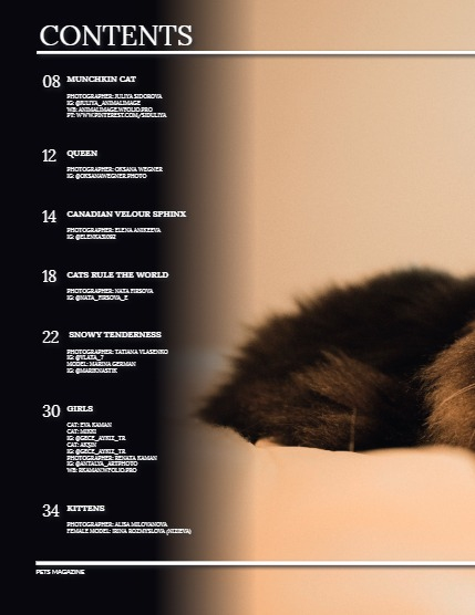 Perfect Pets Magazine - April 2025: The Pet Pals Issue, page 4
