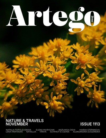 ARTEGO MAGAZINE - NATURE & TRAVELS NOVEMBER ISSUE 1113, page 1