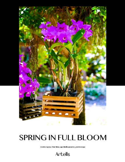 ARTELLS MAGAZINE - NATURE & TRAVELS APRIL (Vol 3106), page 4