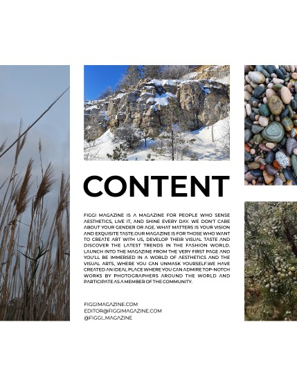 FIGGI MAGAZINE - NATURE & TRAVEL APRIL (Vol 1481), page 3