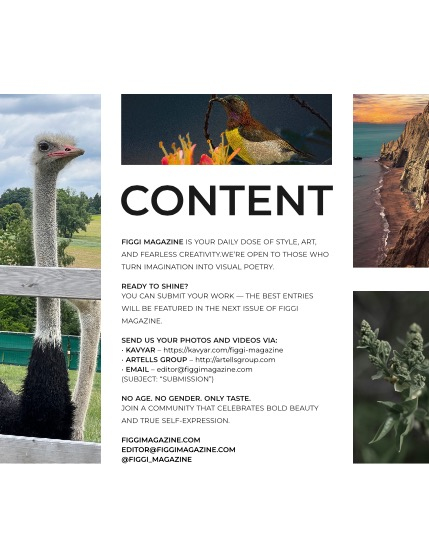 FIGGI MAGAZINE - NATURE & TRAVEL JUNE (Vol 1594), page 3