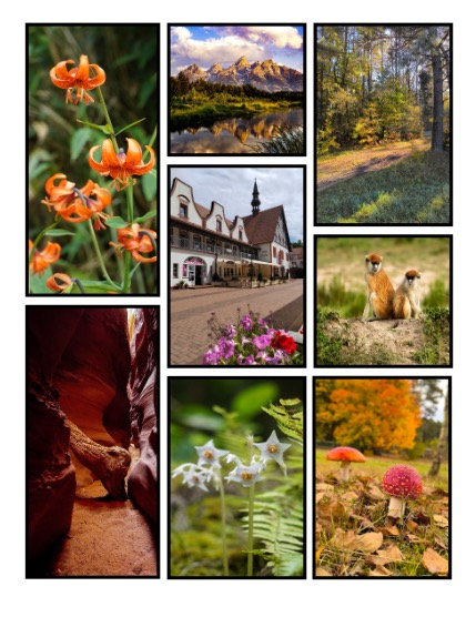 ARTEGO MAGAZINE - NATURE & TRAVELS JANUARY ISSUE 1186, page 3