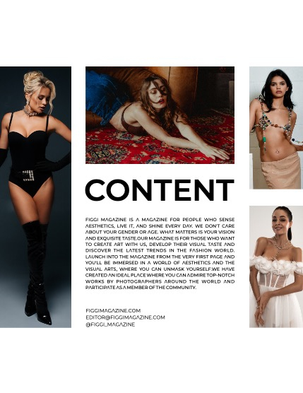 FIGGI MAGAZINE - CHRISTMAS DECEMBER (Vol 1288), page 3