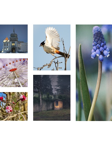 FIGGI MAGAZINE - NATURE & TRAVEL MARCH (Vol 1444), page 2