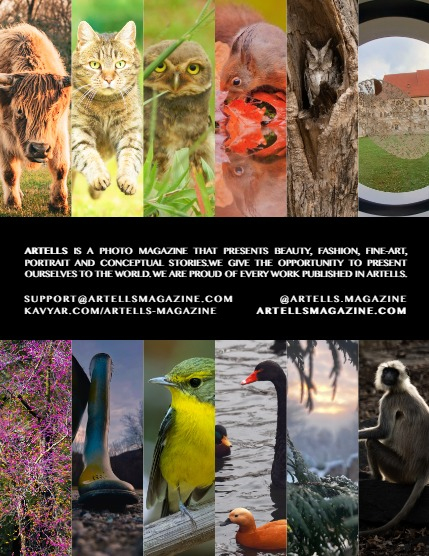 ARTELLS MAGAZINE - NATURE & TRAVELS APRIL (Vol 3107), page 3