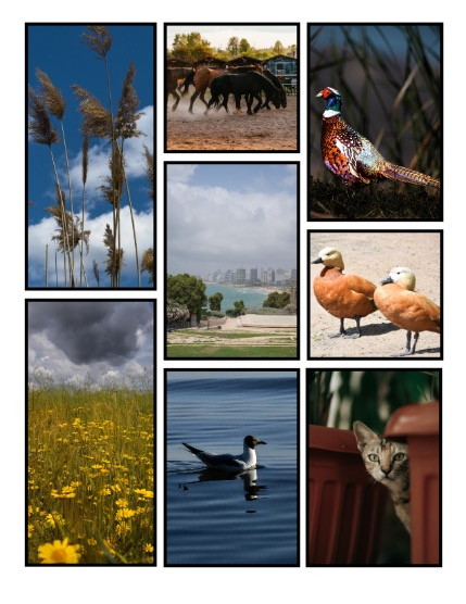 ARTEGO MAGAZINE - NATURE & TRAVELS JUNE ISSUE 872, page 3