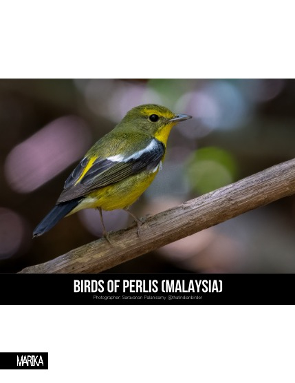 MARIKA MAGAZINE NATURE & TRAVELS (ISSUE 5623 - APRIL), page 4