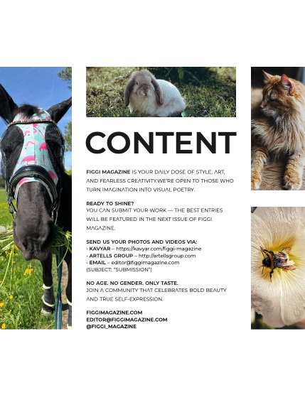 FIGGI MAGAZINE - LOVELY PETS AUGUST (Vol 1727), page 3