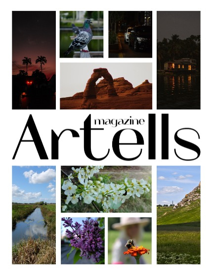 ARTELLS MAGAZINE - NATURE & TRAVELS JUNE (Vol 4101), page 2